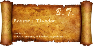 Brezsny Tivadar névjegykártya